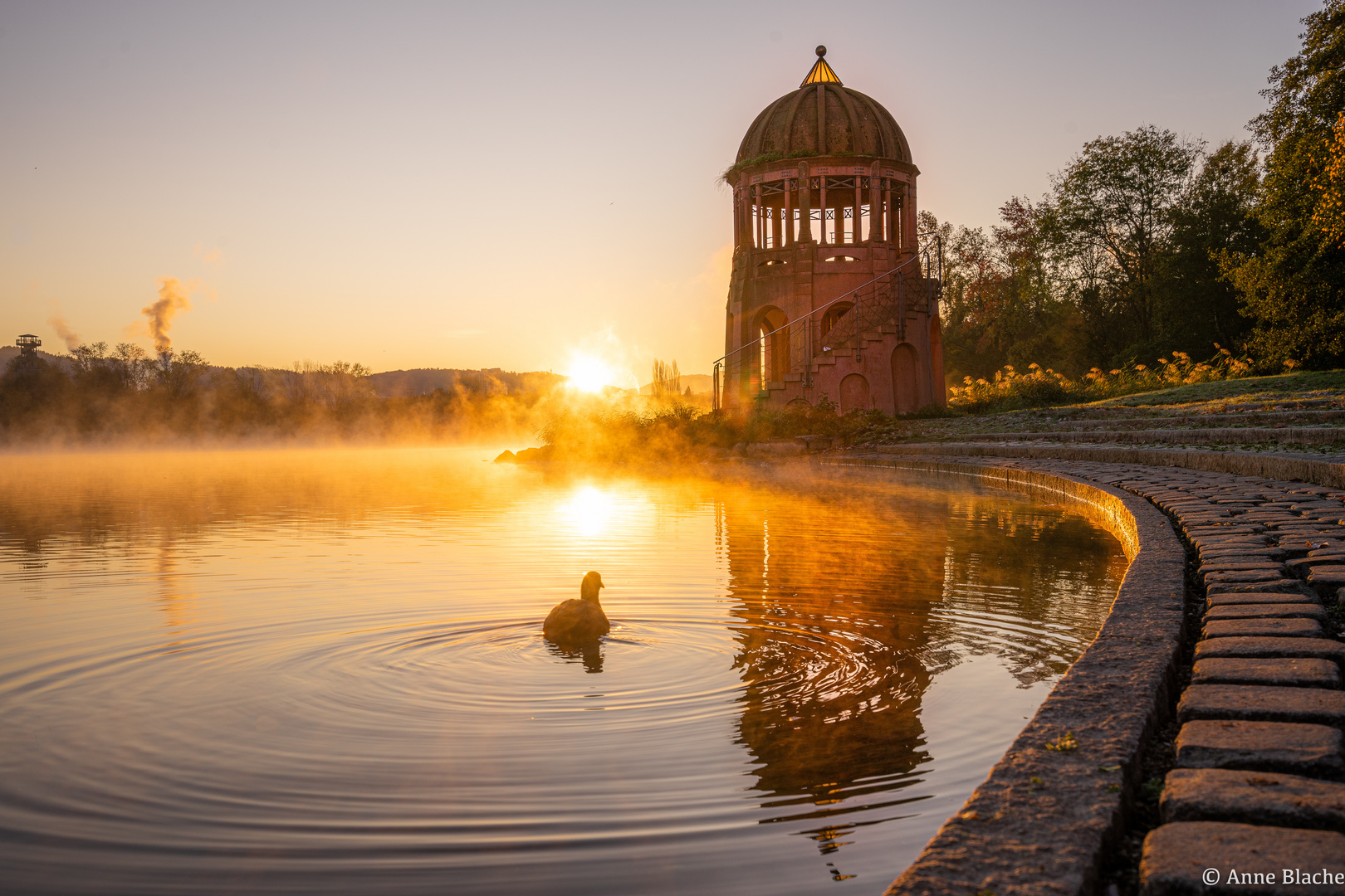 Sonnenaufgang am Seepark