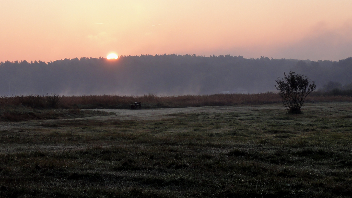 >Sonnenaufgang am Semliner See