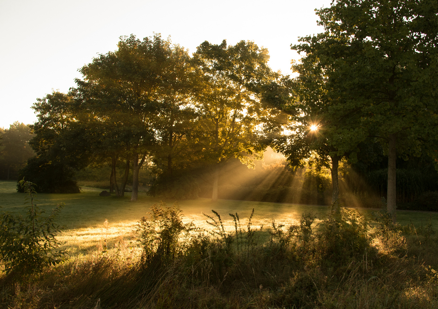 Sonnenaufgang am Silbersee