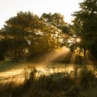 Sonnenaufgang am Silbersee