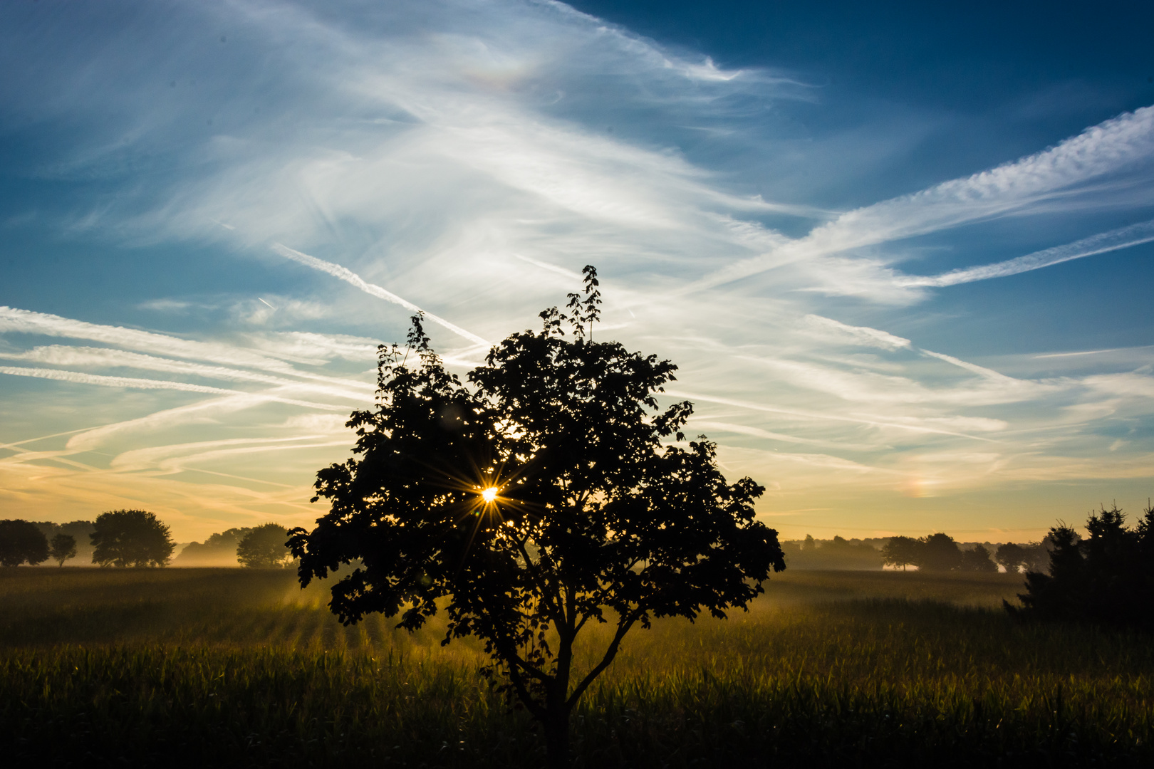 Sonnenaufgang am sonnenbrink