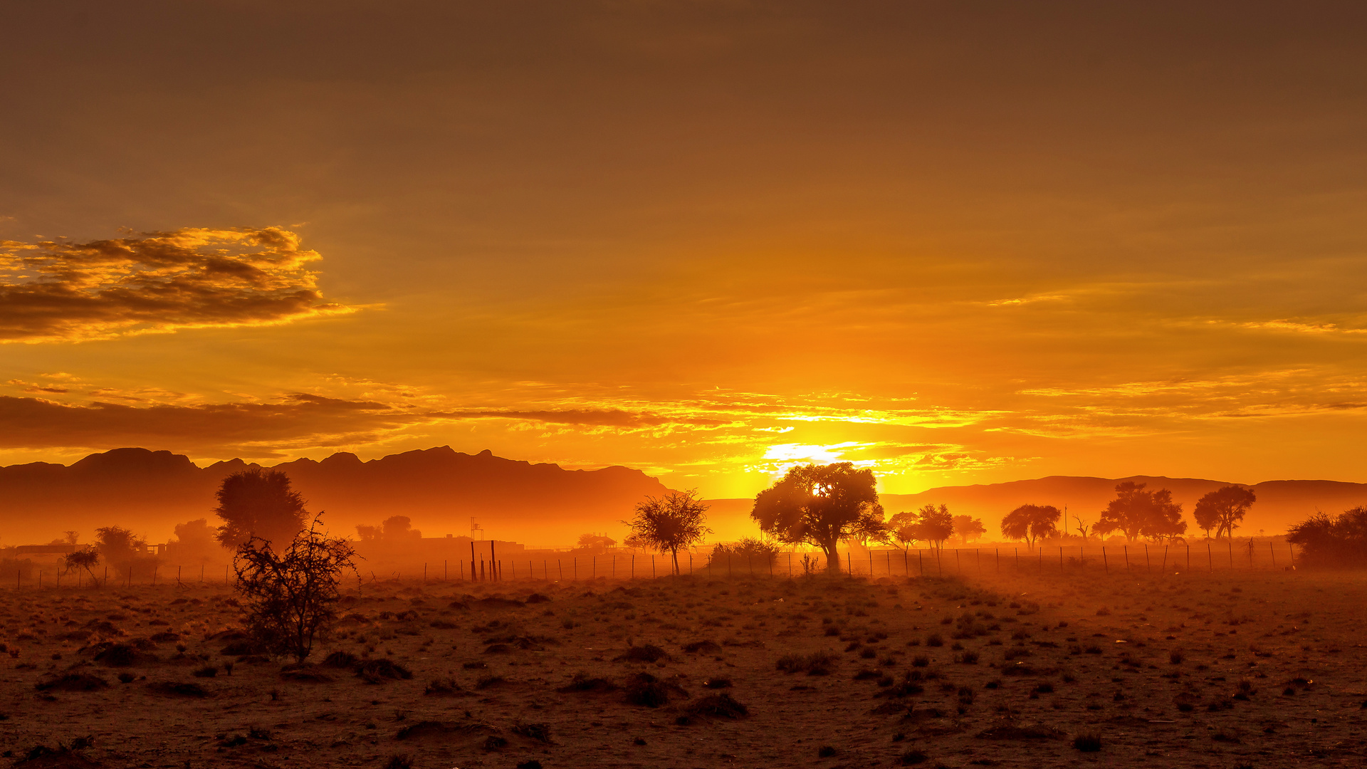 Sonnenaufgang am Sossusvlei....