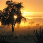 Sonnenaufgang am Sossusvlei