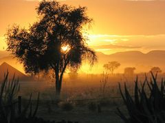 Sonnenaufgang am Sossusvlei