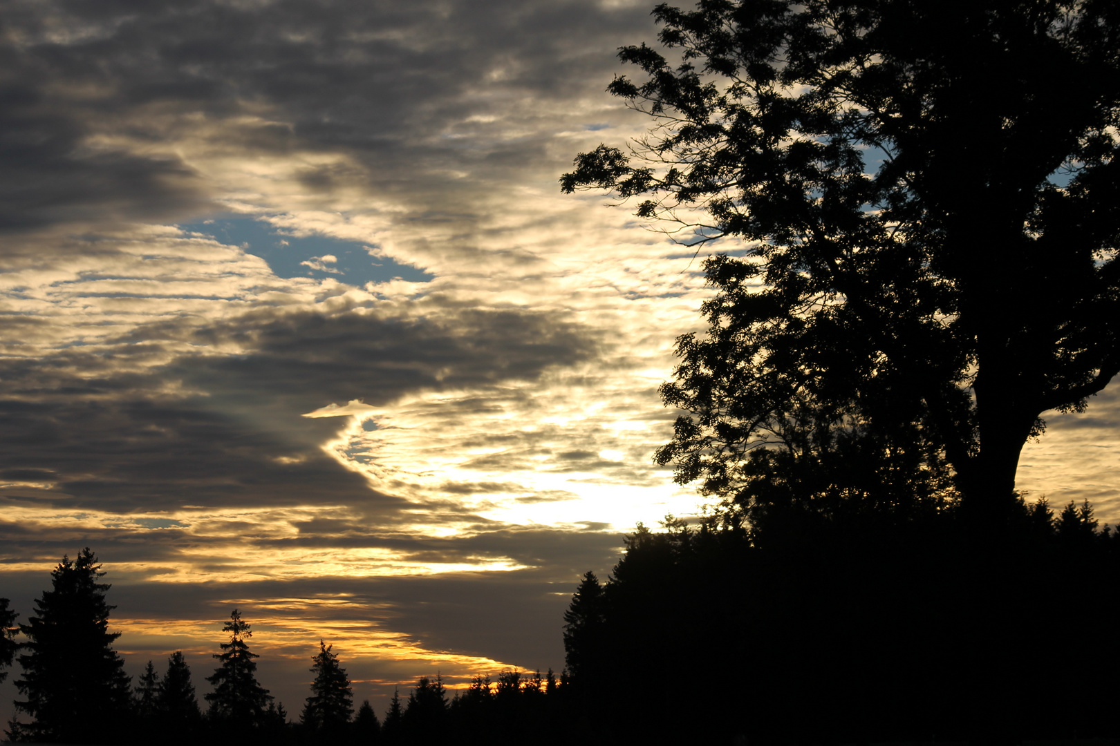 Sonnenaufgang am Spiegelwald