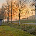 Sonnenaufgang am Sportplatz (salida del sol en el campo de deportes)