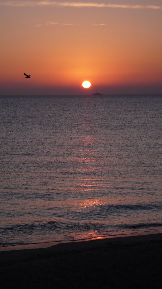 Sonnenaufgang am Staberhuk