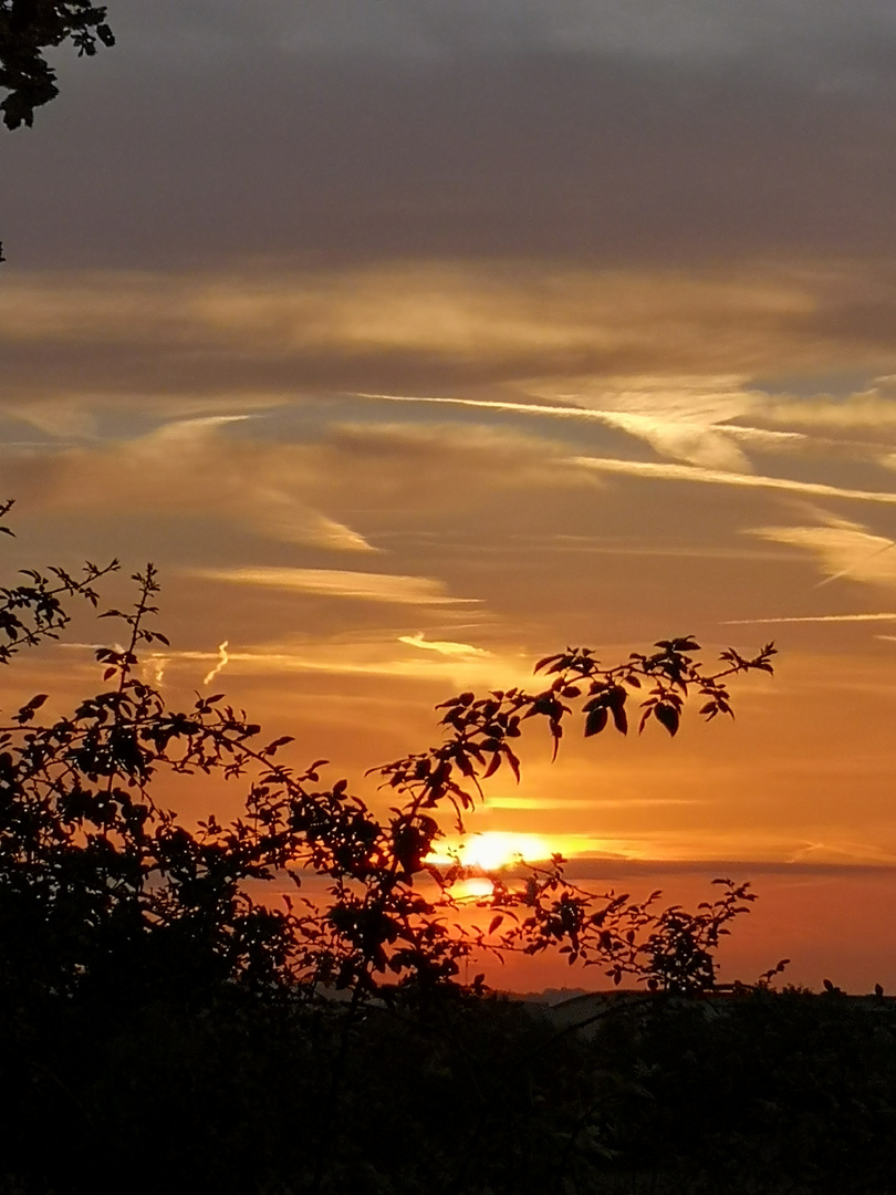 Sonnenaufgang am Stadtrand