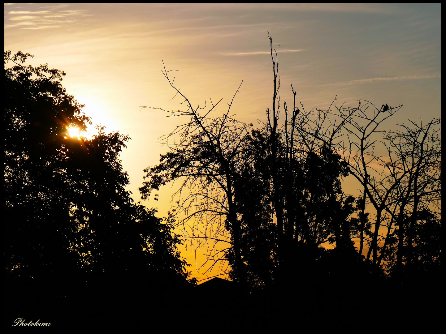 Sonnenaufgang am Stadtrand