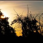 Sonnenaufgang am Stadtrand