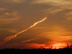 Sonnenaufgang am Stadtrand von Münster (1)