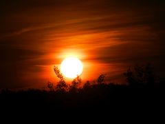 Sonnenaufgang am Stadtrand von Münster (2)