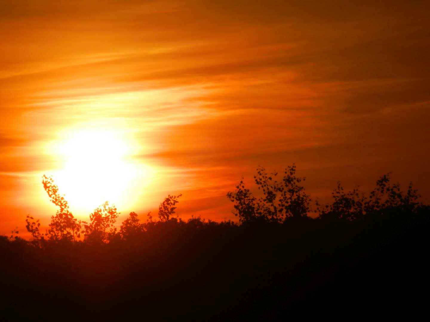 Sonnenaufgang am Stadtrand von Münster (3)