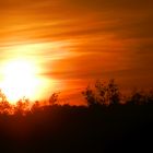 Sonnenaufgang am Stadtrand von Münster (3)