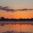 Sonnenaufgang am Staffelsee/Obb.