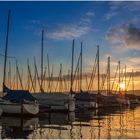 Sonnenaufgang am Starnbergersee