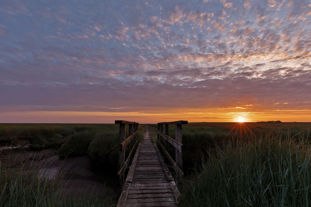 Sonnenaufgang am Steg