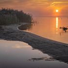 Sonnenaufgang am Steinhuder Meer