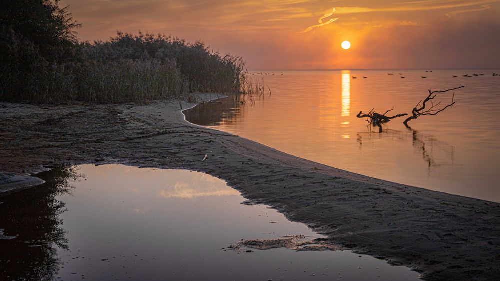 Sonnenaufgang am Steinhuder Meer