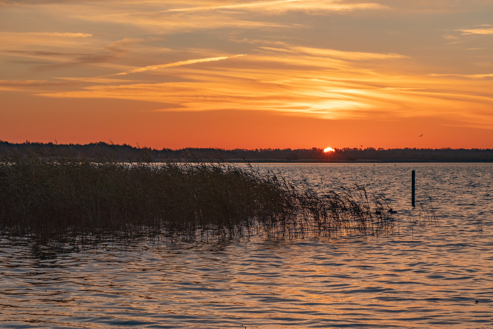 Sonnenaufgang am Steinhuder Meer