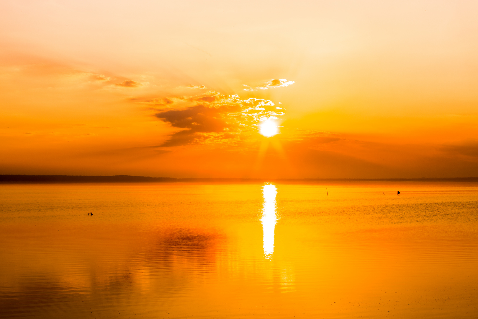 Sonnenaufgang am Steinhuder Meer