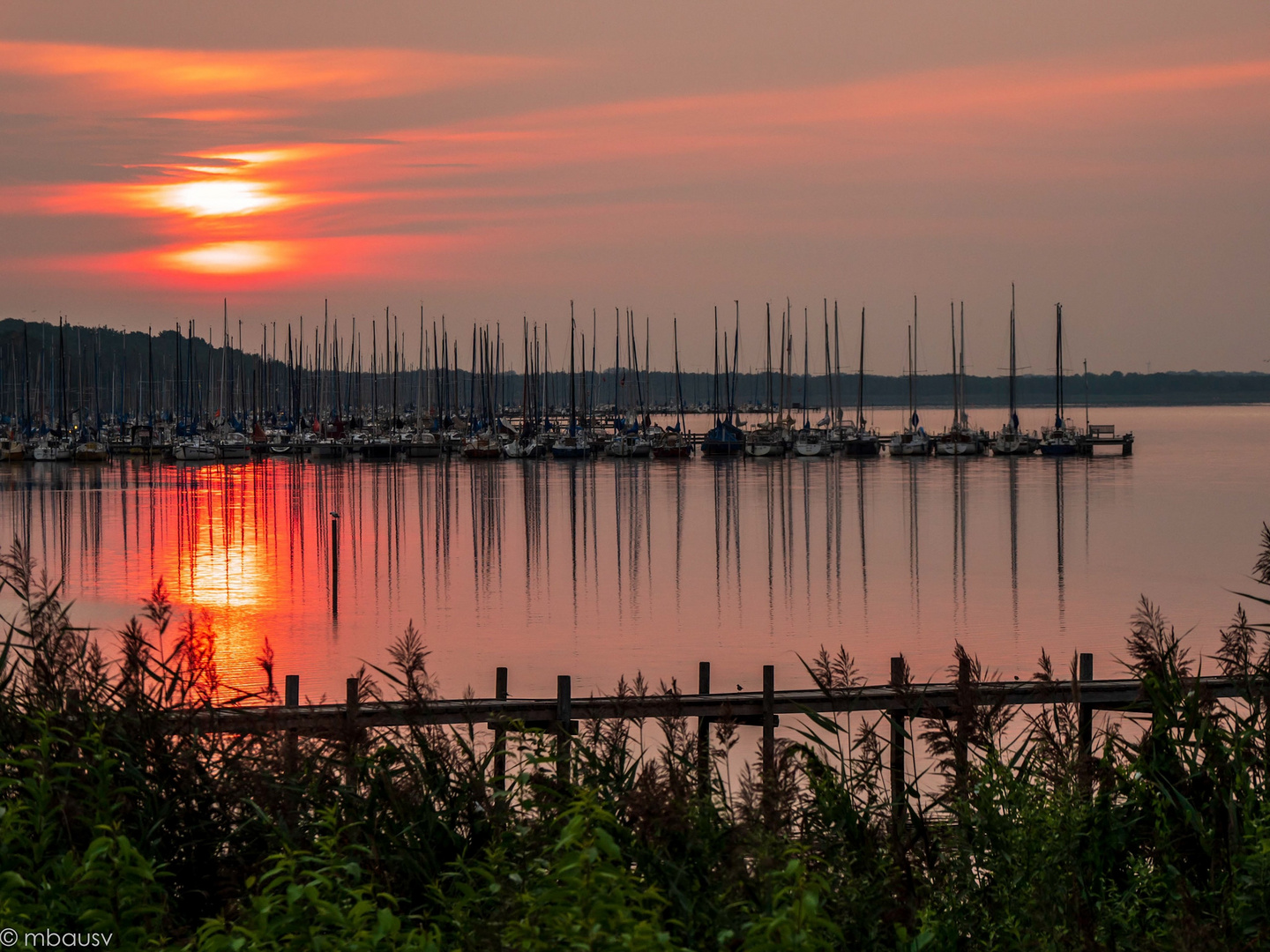 Sonnenaufgang am Steinhuder Meer