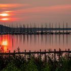 Sonnenaufgang am Steinhuder Meer