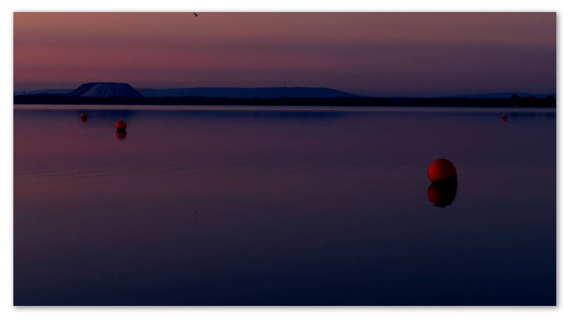 Sonnenaufgang am Steinhuder Meer