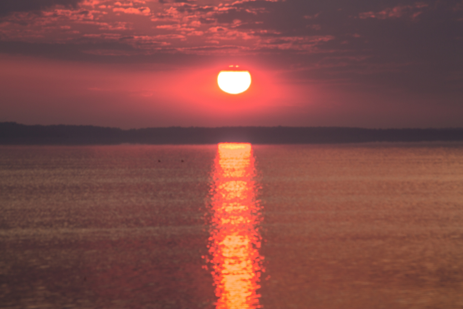 Sonnenaufgang am Steinhuder Meer