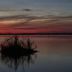 Sonnenaufgang am Steinhuder Meer