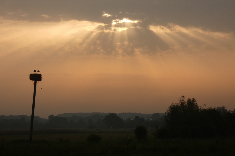 Sonnenaufgang am Storchenhorst