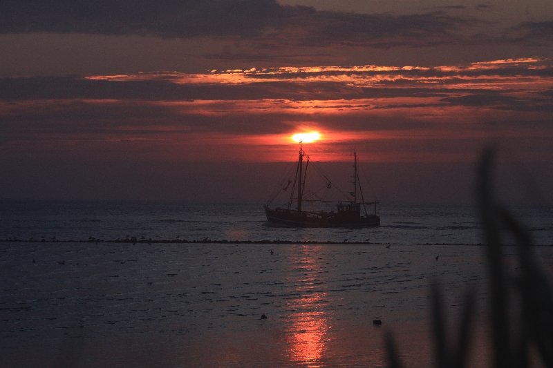 Sonnenaufgang am Strand 1