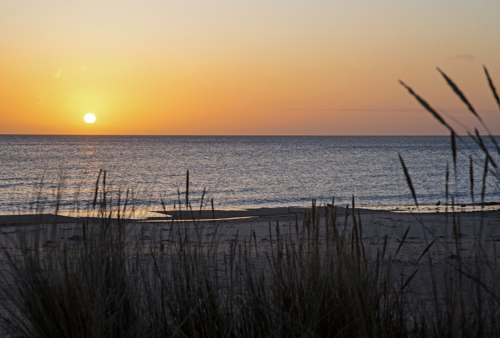 Sonnenaufgang am Strand