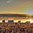 Sonnenaufgang am Strand