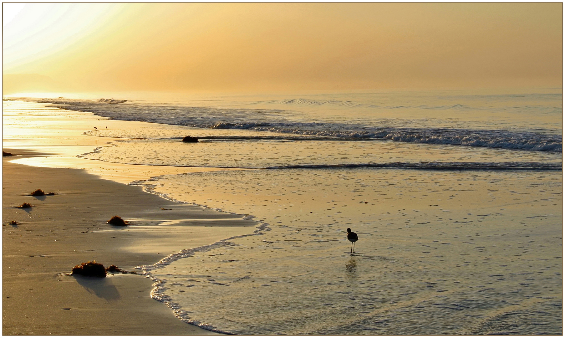 Sonnenaufgang am Strand ....