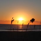 Sonnenaufgang am Strand