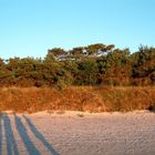 Sonnenaufgang am Strand auf Bornholm