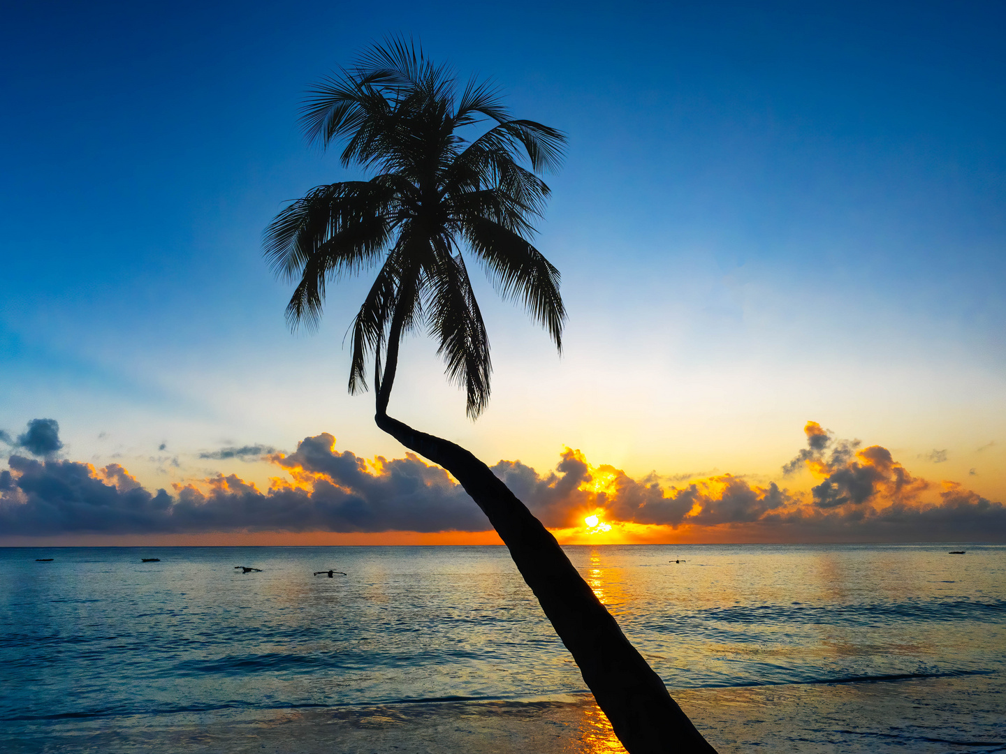 Sonnenaufgang am Strand von Kiwengwa