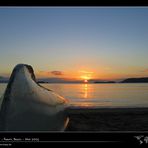 Sonnenaufgang am Strand von Paraty