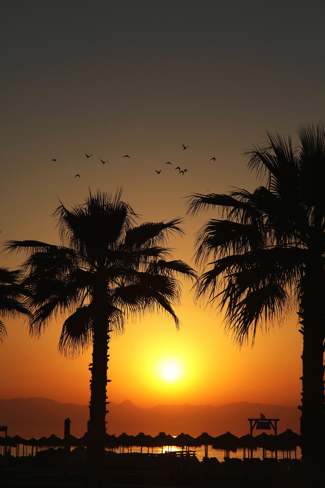 Sonnenaufgang am Strand von Torremolino-Andalusien