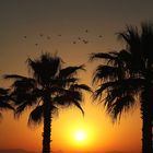 Sonnenaufgang am Strand von Torremolino-Andalusien