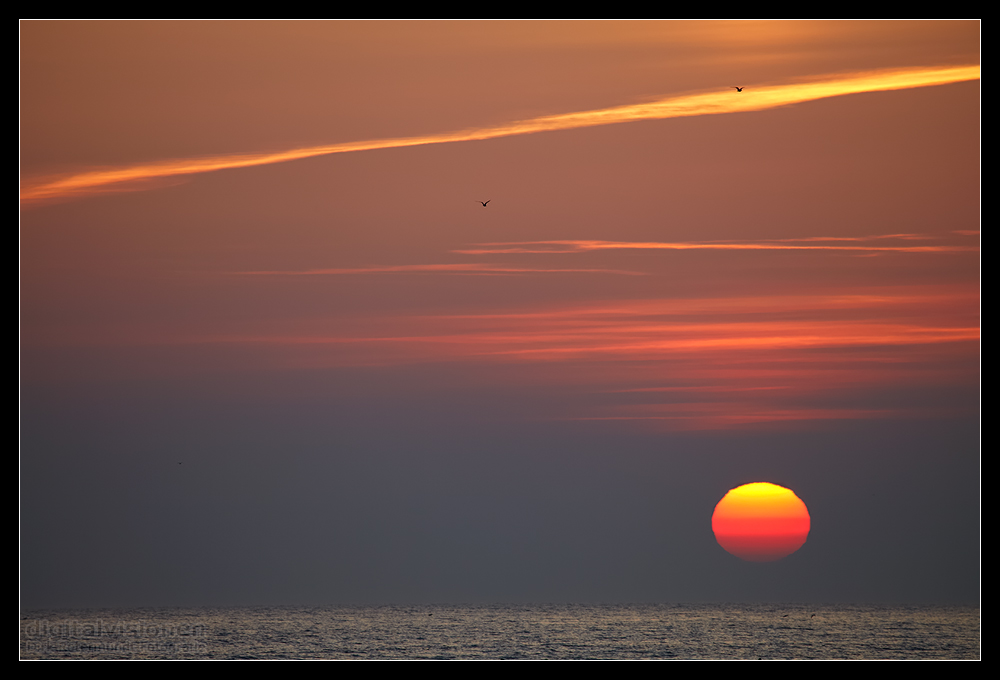 Sonnenaufgang am Strand von Zingst