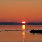 Sonnenaufgang am Strelasund