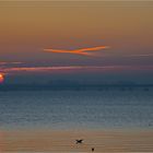 Sonnenaufgang am Strelasund