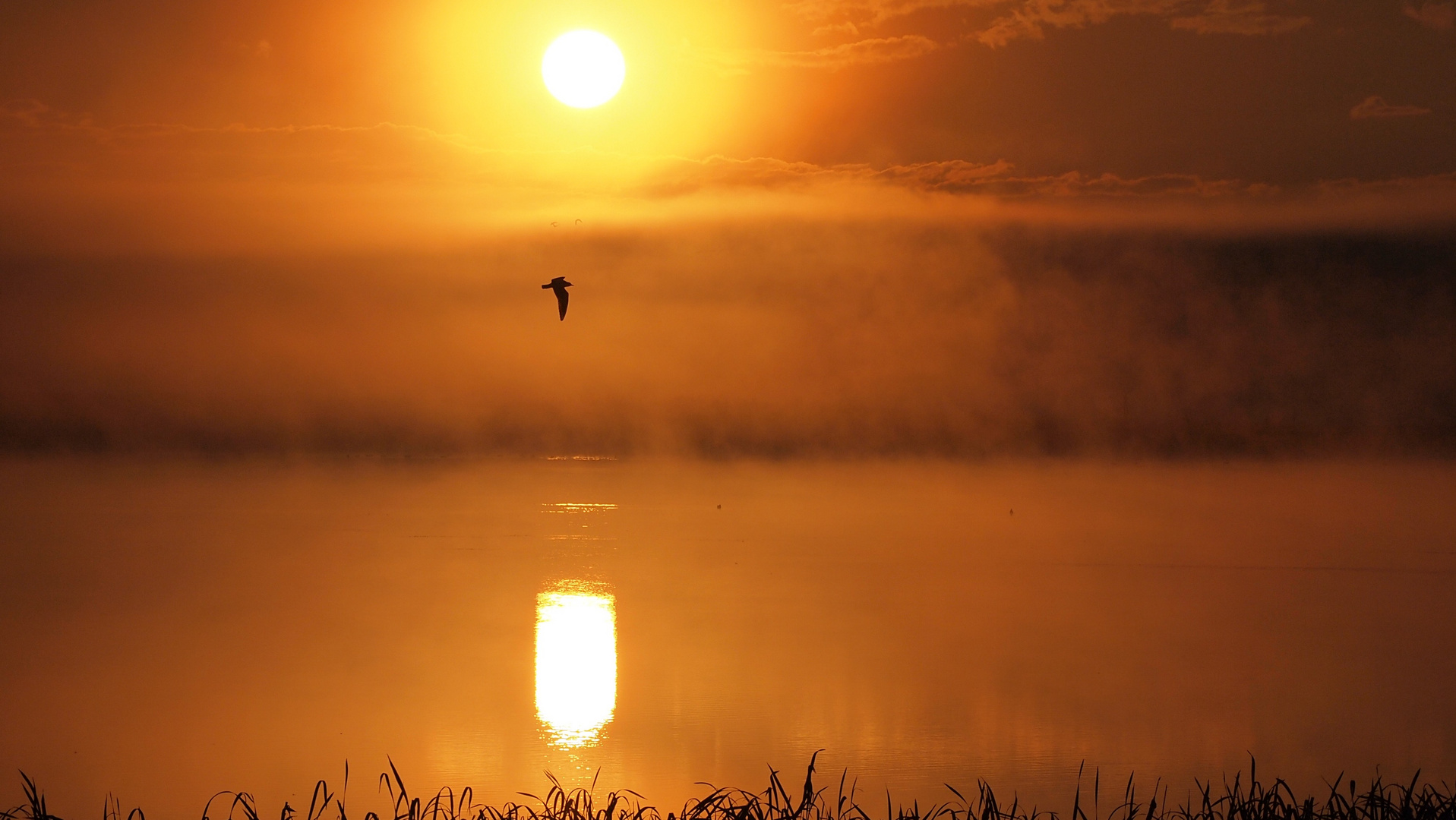 Sonnenaufgang am Strengsee