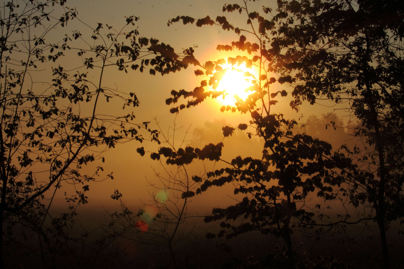 Sonnenaufgang am Tankumsee