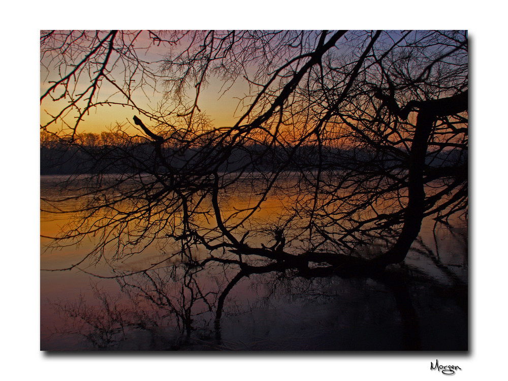 Sonnenaufgang am Tegeler See