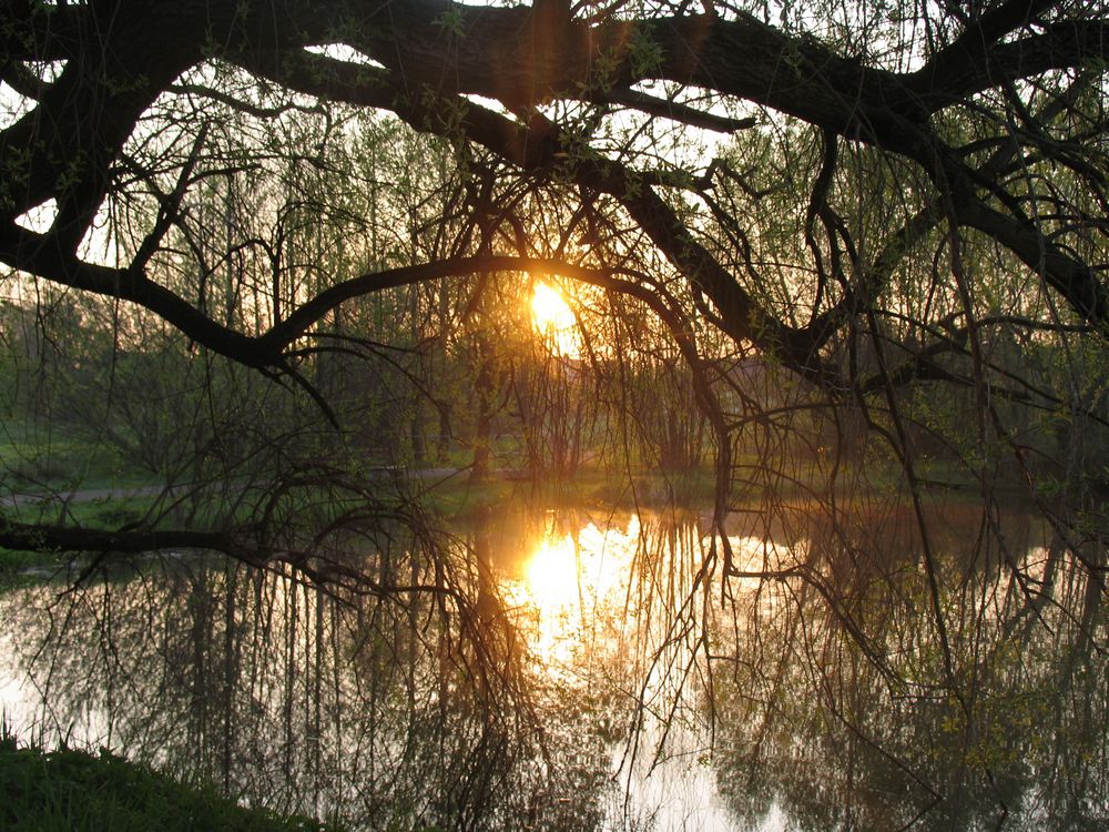 Sonnenaufgang am Teich