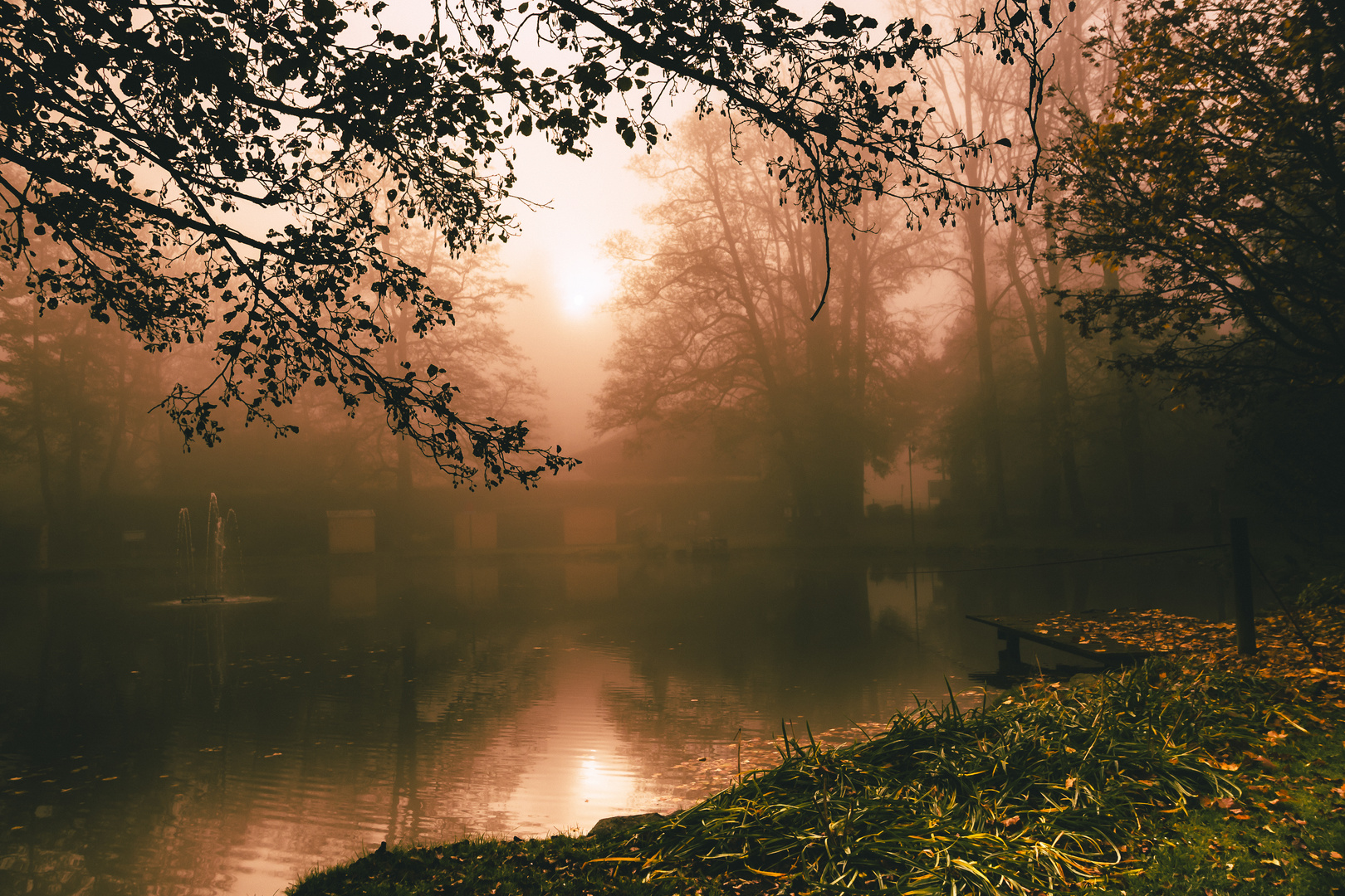 Sonnenaufgang am Teich