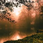 Sonnenaufgang am Teich